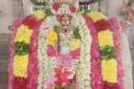திருமலைக்கேணி சுப்பிரமணியசாமி கோவிலில் கார்த்திகை விழா