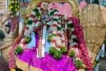 திருப்பரங்குன்றத்தில் தங்கமயில் வாகனத்தில் சுவாமி புறப்பாடு