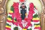 அண்ணாமலையார் விநாயகர் கோயில் வருஷாபிஷேக விழா