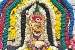 அலகுமலை கைலாசநாதர் கோவிலில் திரிசதி வழிபாடு