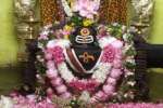 காசி விஸ்வநாதர் திருக்கோவிலில் மகாதேவாஷ்டமி பெருவிழா
