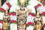 மயிலம் முருகன் கோவிலில் சஷ்டி வழிபாடு