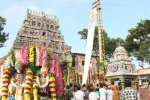 திருநாகேஸ்வரம் நாகநாத சுவாமி கோவிலில் கார்த்திகை கடைஞாயிறு கொடியேற்றம்