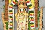 வரதராஜ பெருமாள் கோவிலில் ராம பக்த ஆஞ்சநேயருக்கு வெண்ணெய் காப்பு