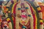 சிம்ம வாகனத்தில் மாகாளி அம்மன் அருள்பாலிப்பு