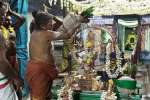 விளமல் பதஞ்சலி மனோகரர் கோயிலில் ஆருத்ரா தரிசனம்
