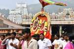 அருணாசலேஸ்வரர் கோவிலில் பிரம்மோற்சவம் விழா: சுவாமி உலா