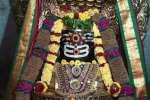 வெட்டிவேர் மாலை அலங்காரத்தில் அருள்பாலித்த ஆதிகும்பேஸ்வரர்