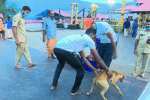 சபரிமலை திருமுற்றத்தில் வந்த நாயால் பரபரப்பு