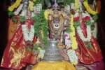 சிறப்பு அலங்காரத்தில் வேணுகோபாலசுவாமி அருள்பாலிப்பு