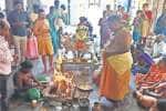 சிதம்பரம் அனந்தீஸ்வரன் கோவிலில் சனிப்பெயர்ச்சி விழா
