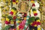 காட்டு நீதி விநாயகர் கோயிலில் சிறப்பு பூஜை