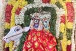கோயில்களில் பிரதோஷ பூஜை.. சிறப்பு அபிஷேகம் : பக்தர்கள் தரிசனம்