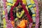 போத்தனூர் பத்ரகாளியம்மன் கோவிலில் கும்பாபிஷேகம்