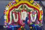 சென்னியாண்டவர் கோவிலில், 5ம் தேதி தைப்பூச தேரோட்டம்