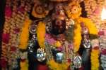விளமல் பதஞ்சலி மனோகரர் கோயிலில் தை வெள்ளி சிறப்பு பூஜை