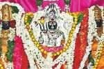 அங்காளம்மன் கோவிலில் மண்டல அபிஷேக பூர்த்தி