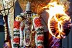 ஸ்ரீரங்கம் தெப்பத் திருவிழா : கற்பக விருட்ச வாகனத்தில் சுவாமி உலா