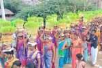 கமுதி காளியம்மன் கோயில் முளைப்பாரி விழா