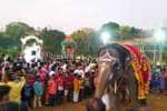 சுவாமிமலை முருகன் கோவிலில் அரசலாற்றில் யானை விரட்டல் நிகழ்வு