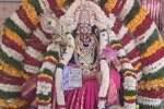 சேத்தூர் செல்வ முத்துமாரியம்மன் கோவில் திருவிழா