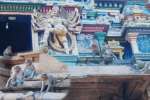 பழமையான திருமறைநாதர் கோயிலில் வானரம் : பிடிக்குமா வனத்துறை