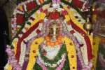 கருவடிக்குப்பம் குரு சித்தானந்த ஸ்வாமி கோயிலில் 186ம் ஆண்டு குருபூஜை விழா