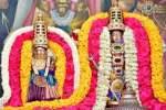 கோவை கோதண்ட ராமர் கோவிலில் சீதாராமர் திருக்கல்யாணம்