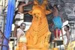 திருவண்ணாமலை அருணாச்சலேஸ்வரர் கோவிலில் பிரதோஷ வழிபாடு