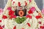 ஆனி முதல் சோமவாரம்; ஆபத் சகாய வில்வ லிங்கேஸ்வரருக்கு சிறப்பு அபிஷேகம்