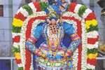 பாண்டுரங்கன் அலங்காரத்தில் பண்ருட்டி வரதராஜ பெருமாள் அருள்பாலிப்பு
