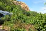 திருப்பரங்குன்றம் கோயில் இடத்தில் நந்தவனம் அமைக்க கோரிக்கை