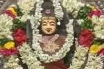 ஆடி இரண்டாம் செவ்வாய்; அன்னூர் மாரியம்மன் கோயிலில் மூலவருக்கு அபிஷேகம்