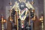 நவசக்தி மகா வாராகி அம்மன் கோயிலில் பைரவருக்கு அபிஷேகம்