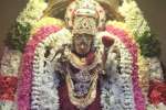 நவராத்திரி முதல் நாள்; சிறப்பு அலங்காரத்தில் காமாட்சி அம்மன்