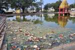 அசுத்தமான நிலையில் கோவில் தெப்பக்குளம்; அறநிலையத்துறை அலட்சியம்