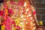 வீரட்டானேஸ்வரர் கோவிலில் சனிப்பெயர்ச்சி விழா