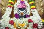  வெள்ளிங்கிரி ஆண்டவர் கோவிலில் பிரதோஷ பூஜை