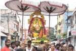 திருப்பாதிரிப்புலியூர் வரதராஜ பெருமாள் கோவிலில் தங்க கருட சேவை