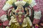 காட்டூர் மாகாளியம்மன் கோவில் திருப்பணிகள் துவக்கம்