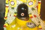 விளமல் பதஞ்சலி மனோகரர் கோவிலில் சிறப்பு வழிபாடு; சுவாமிக்கு அபிஷேகம்