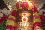 கருமாரியம்மன் கோவிலில் வேதபுரீஸ்வரருக்கு சிறப்பு அபிஷேகம்