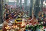 அவிநாசி லிங்கேஸ்வரர் கோவில் மண்டல பூஜை விழாவில் திருக்கல்யாண உற்சவம்