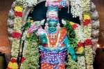 காரைக்கால் மகா மாரியம்மன் கோவிலில் சிறப்பு வழிபாடு