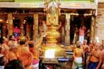 திருநள்ளாறு தர்பாரண்யேஸ்வரர் கோவில் பிரமோற்சவ விழா கொடியேற்றத்துடன் துவங்கியது