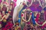 திருப்புத்தூர் திருத்தளிநாதர் கோயிலில் திருக்கல்யாணம் கோலாகலம்