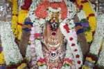 போயக்கொன்ட கங்கை அம்மன் கோவிலில் ராகு கால பூஜை