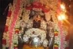 விளமல் பதஞ்சலி மனோகரர் கோயிலில் வைகாசி வெள்ளி சிறப்பு பூஜை