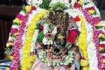 திருப்புத்தூர் திருத்தளிநாதர் கோயிலில் வைகாசி விசாக விழா; நாளை தேரோட்டம்