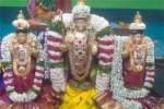 விருத்தாசலம் ராஜகோபால சுவாமி பல்லக்கில் வீதியுலா